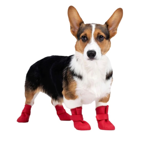 🦖WELLIES DOG 🐶 BOOTS - Picture 1 of 4